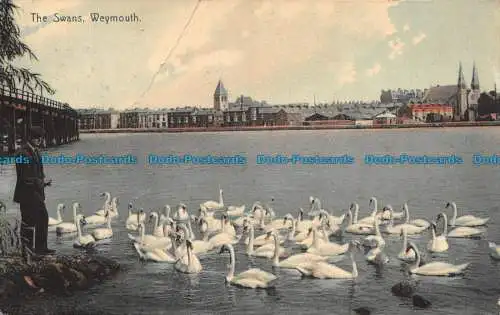 R122225 Die Schwäne. Weymouth. Stiefel. 1907