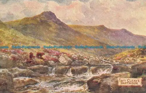 R124246 Tavy Cleave. Dartmoor. Photochrom