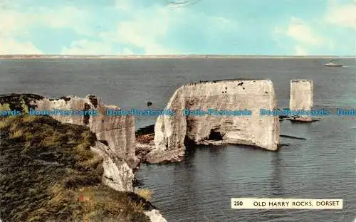 R125121 Old Harry Rocks. Dorset. Dearden und Wade. Nr 250
