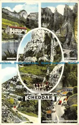R125269 Cheddar. Mehrfachansicht. stecken. 1957