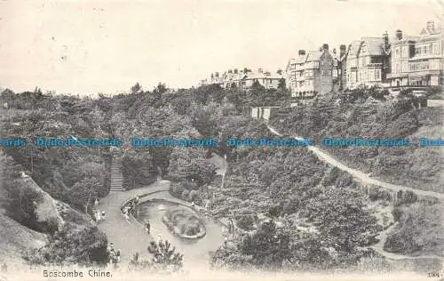 R125815 Boscombe China. Victoria. 1905