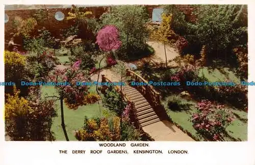 R140728 Woodland Garden. The Derry Roof Gardens. Kensington. London. Derry und T