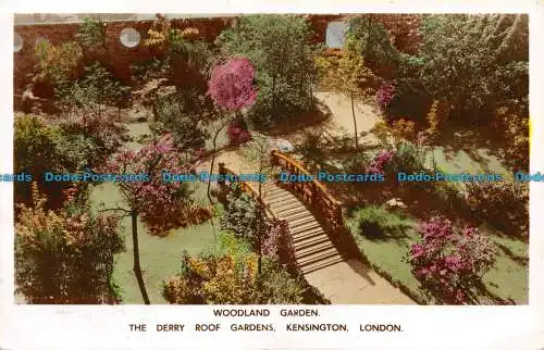 R140729 Woodland Garden. The Derry Roof Gardens. Kensington. London. Derry und T