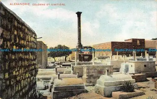 R141558 Alexandrie. Colonne et Cimitiere. Lichtenstern und Harari. Nr. 219