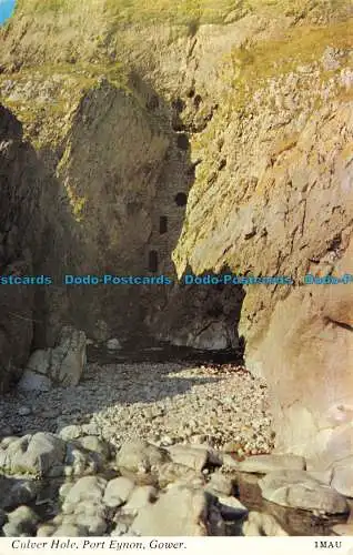 R143763 Durchbruchloch. Port Eynon. Gower. Harvey Barton