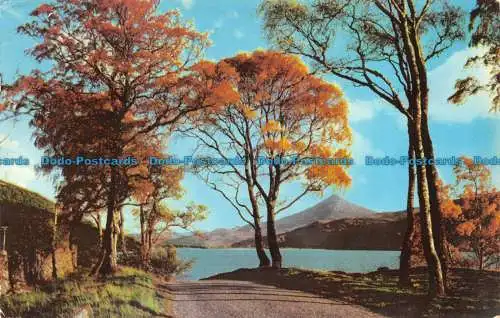 R143867 Loch Rannoch und Schiehallion