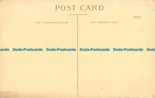 R163843 Grüße. A Happy Birthday. Blumen