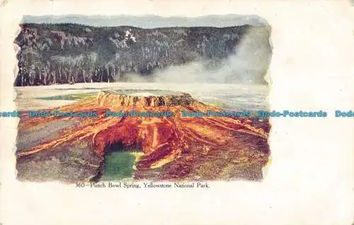 R165616 Bowle Schüssel Feder. Yellowstone Nationalpark. 1908