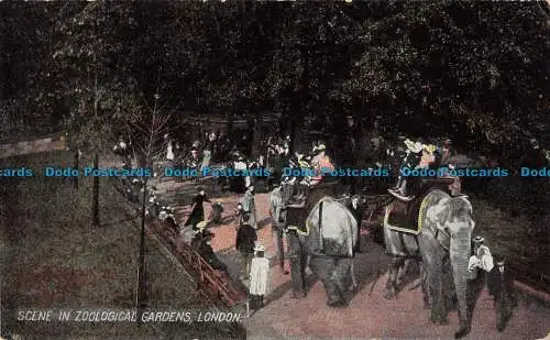 R166832 Szene im Zoologischen Garten. London. 1907