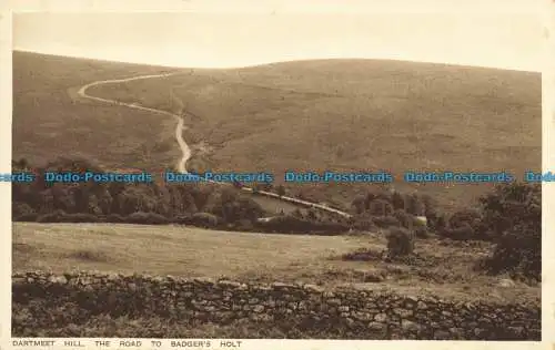 R659708 Dartmeet Hill. Der Weg nach Dachsholt. Dachs Holt Teegärten. R.A.P