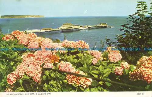 R659042 I.W. Shanklin. Die Hortensien und Pier. Nahe. Jarrold. RP. 1962