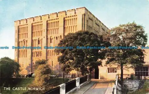 R659070 Norwich. Das Schloss. J. Lachs