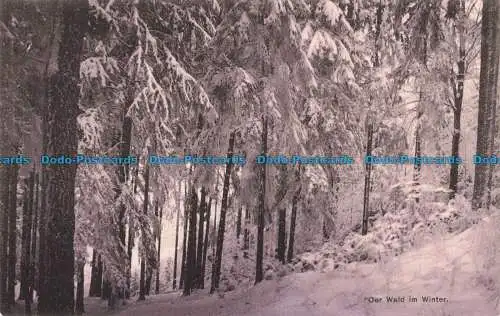 R659789 Der Wald im Winter. Kunstverlag G.m.b.H. Serie 9005