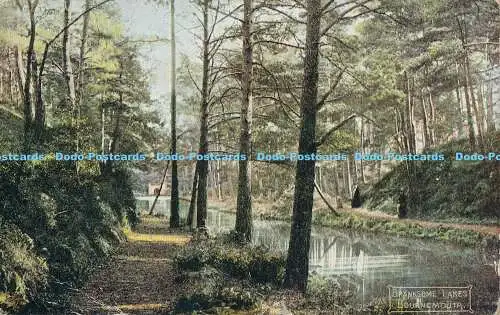 R182634 Branksome Lakes. Bournemouth. The Summit. 1911