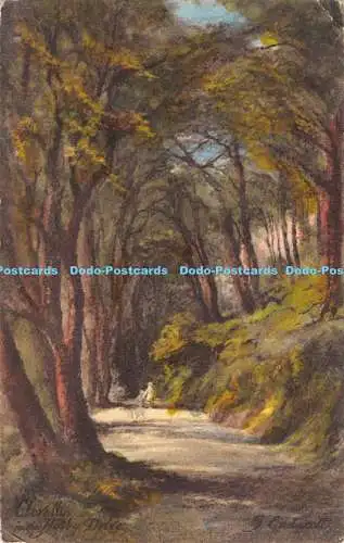 R185423 Clovelly. Hobby Drive. S. Endacott. Friths Serie