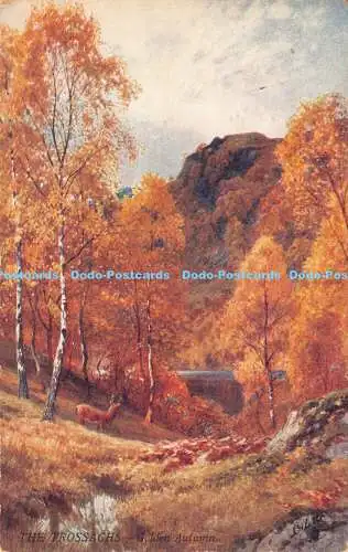 R185577 Die Trossachs. Goldener Herbst. Oilette. Bonnie Scotland. Die Trossachs. 7