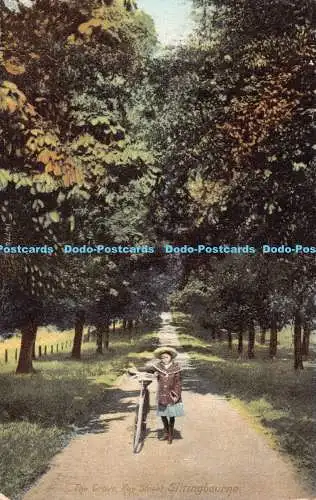 R184449 The Grove. Schlüsselstraße. Sittingbourne. Schraubenschlüssel. 1906