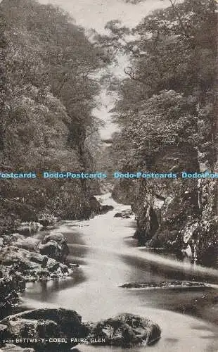 R184581 Betten Y Coed. Fairy Glen. Photochrom. Sepiaton