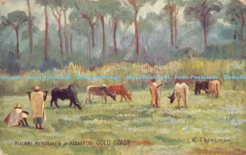 R186822 Fulani Hirten in Mampon. Gold Coast. E. Cheesman. stecken. Serie IV