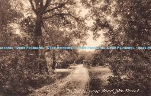 R187836 auf Bolderwood Road. New Forest. Serie Friths. Nr. 25589