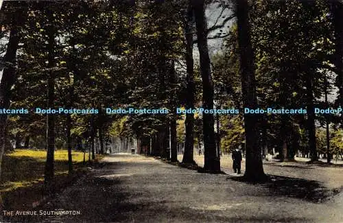 R188925 The Avenue. Southampton. A. Richards