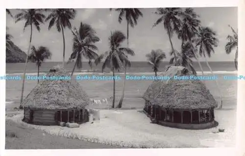 R190482 Postkarte aus Samoa. Handflächen. Ozean. Alte Fotografie. Postkarte