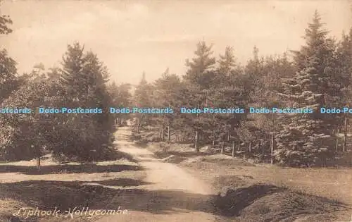 R189097 Liphook. Hollycombe. Serie Friths. Nr. 46578. 1916