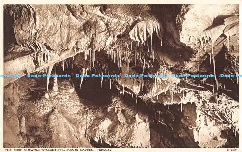 R189607 Das Dach zeigt Stalaktiten. Kents Cavern. Torquay. Photochrom