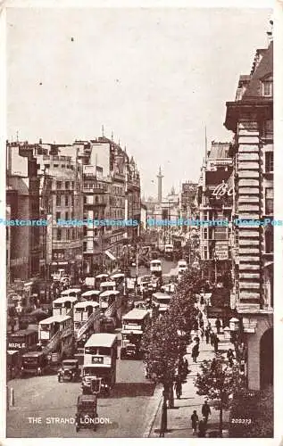 R189821 The Strand. London. Foto braun. Valentinstag