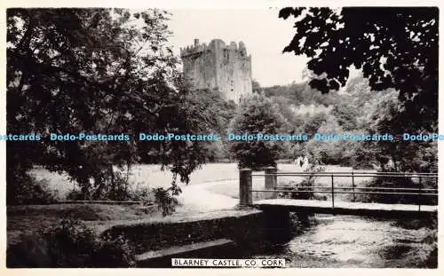 R191285 Blarney Castle. Co. Kork. Cardall. RP