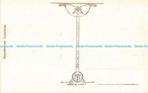 R190335 Pompeji. 5. Via del Vesuvio. Ed. A. Traldi