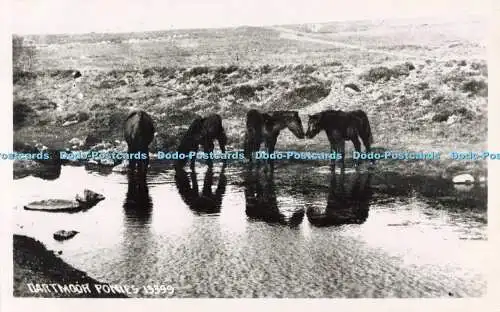 R687325 Dartmoor Ponys. Chapman. RP