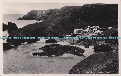 R702883 Eidechse. Kynance Cove. RP