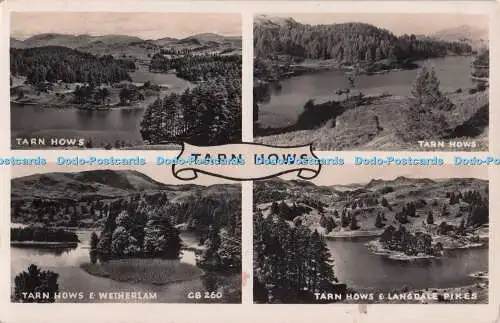 R700899 Tarn Hows. Tarn Hows und Wetherlam. Tarn Hows und Langdale Pikes. H. Web