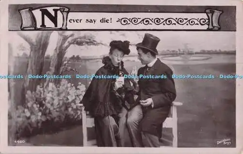 R698507 Sag niemals sterben. Davidson Bros. 1909