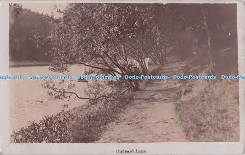 R698755 Rudyard Lake. Postkarte. 1907