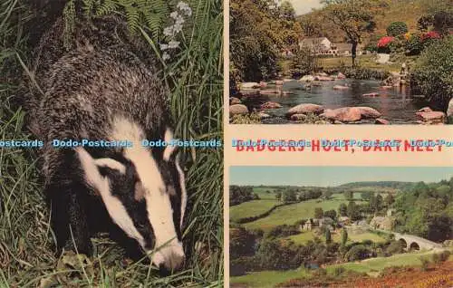 R704870 Dartmeet. Badgers Holt. Jarrold. Multi View