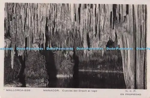 R701366 Mallorca. Manacor. Cuevas del Drach al Lago. N. C. P. Es Propiedad