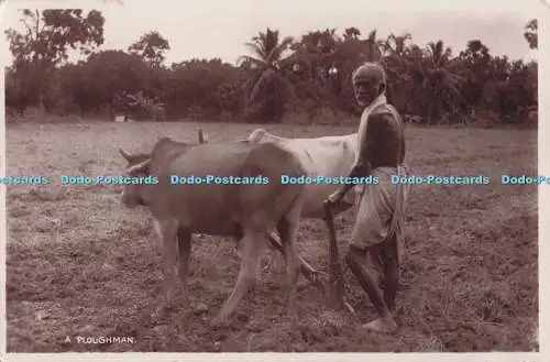 R701397 A Ploughman. RP. Postkarte