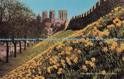 R705040 York Minster von der Stadtmauer. J. Lachs