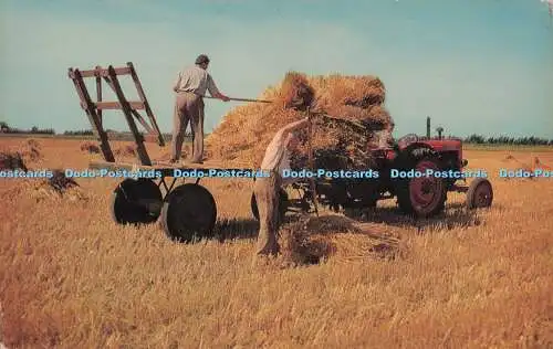 R705065 Britian Countryside. Carting The Harvest. J. Lachs