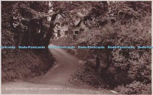 R703595 Cottages at Studland. Richter. 5135