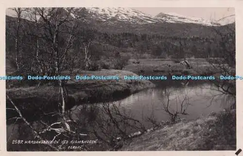 R703621 Hardangerveien Ved Kvamskogen. Bergen