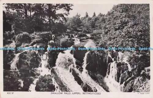 R703746 Bettys y Coed. Schwalbenfälle. Obermaterial. stecken. RP