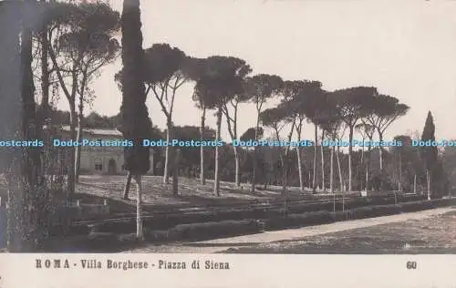 R699205 Roma. Villa Borghese. Piazza di Siena. N.P.G. Diffida