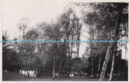 R699215 Forest. See im Wald. Postkarte