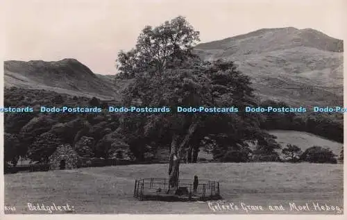 R699252 Beddgelert. Gelierer Grab und Moel Hebog