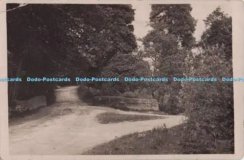 R703849 Straße im Wald. Postkarte