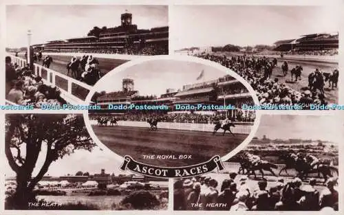 R703897 Ascot Races. The Royal Box. Valentinstag. RP. Multi View