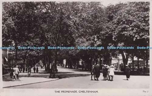 R701769 Cheltenham. Die Promenade. W. und K.Nr. 2. RP